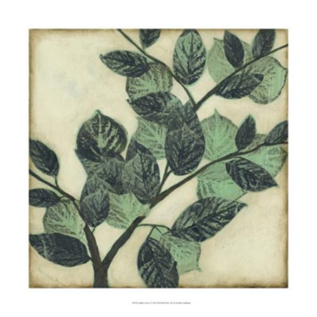 Graphic Leaves I by Jennifer Goldberger art print