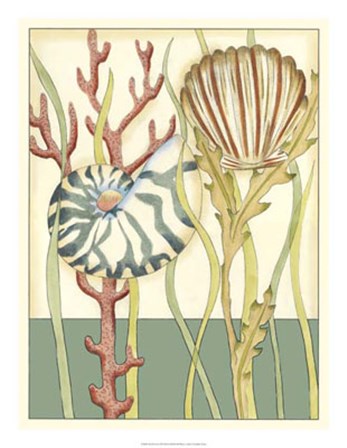 Shell Season III by Chariklia Zarris art print