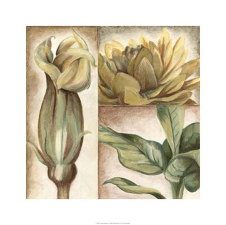 Garden Glimpses II by Megan Meagher art print