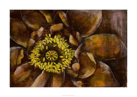 Floral Illusion I by Jennifer Goldberger art print