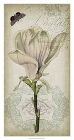 Cartouche &amp; Floral I by Jennifer Goldberger art print