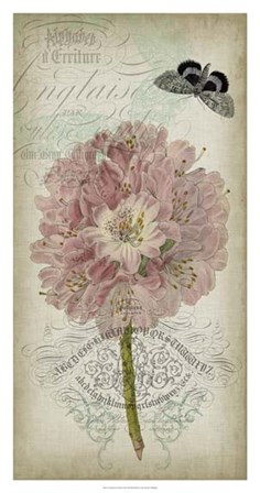 Cartouche &amp; Floral II by Jennifer Goldberger art print