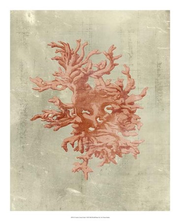 Coral in Terra Cotta by Vision Studio art print