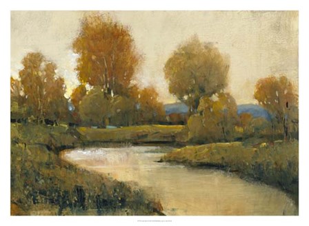 Creek Side I by Timothy O&#39;Toole art print