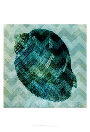 Chevron Shell VIII by Vision Studio art print