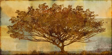 Autumn Radiance Sepia by Mark Chandon art print