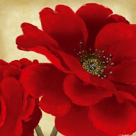 Red Peony I by Linda Wood art print