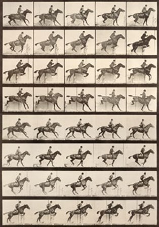 Jumping a Hurdle by Eadward Muybridge art print