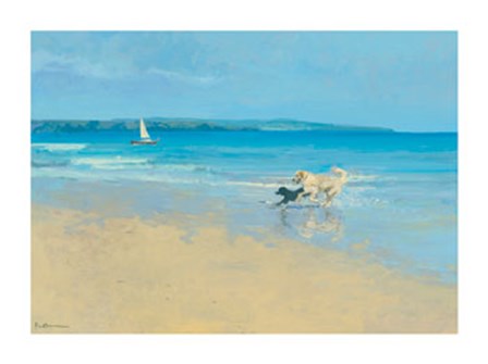 Summer Sands by Paul Brown art print