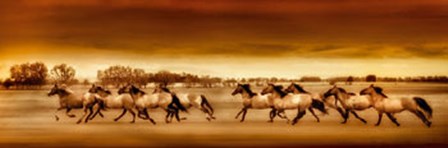 Argentine Horses by Bobbie Goodrich art print