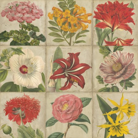 Vintage Flower Grid by Vision Studio art print