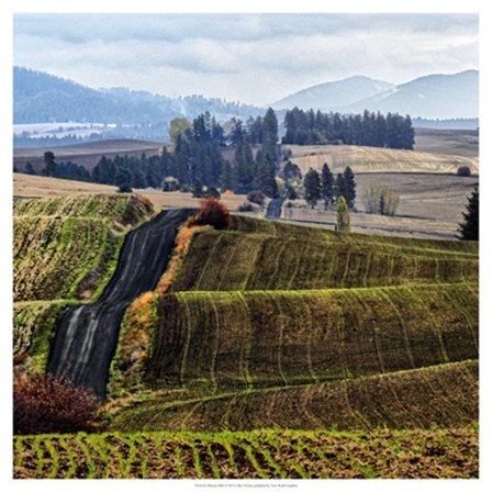 Palouse Hills by Colby Chester art print