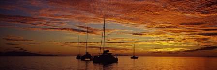 Sailboats in the sea, Tahiti, French Polynesia by Panoramic Images art print
