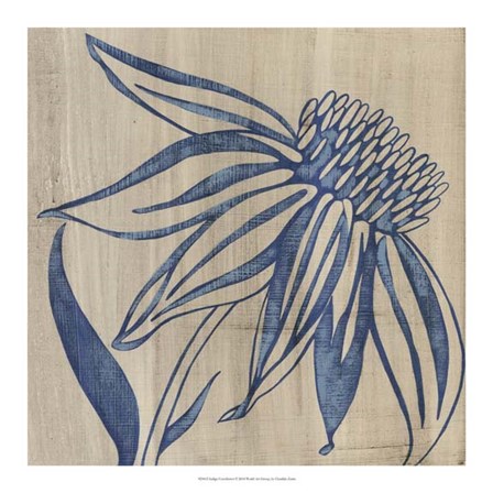 Indigo Coneflower by Chariklia Zarris art print