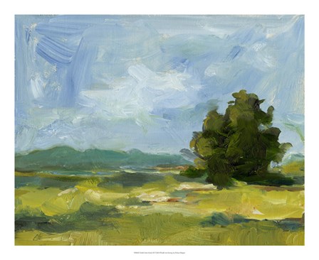 Field Color Study II by Ethan Harper art print