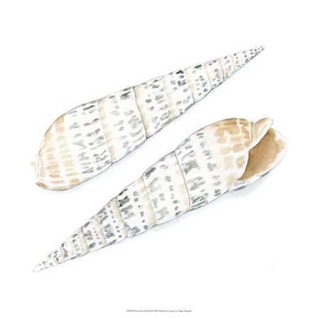 Watercolor Shells IX by Megan Meagher art print