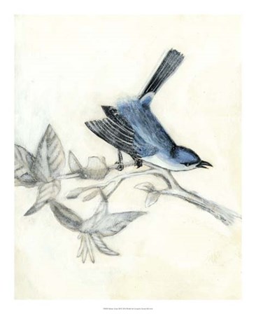 Rustic Aviary III by Naomi McCavitt art print