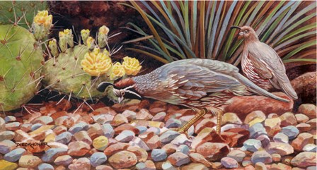 Quail Pair by Gene Dieckhoner art print