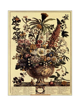 December/Twelve Months of Flowers, 1730 by Robert Furber art print