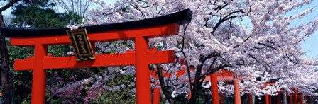 Japan Takenaka Inari Shrine by Panoramic Images art print