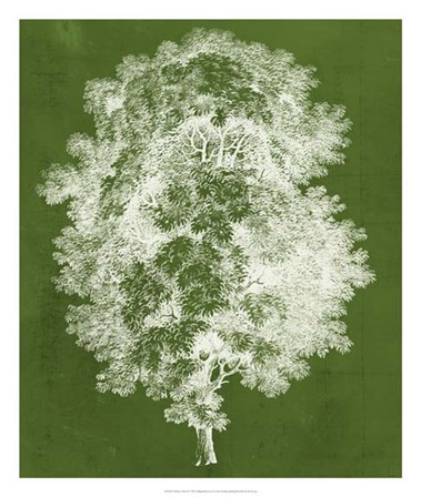 Modern Arbor IV by Vision Studio art print