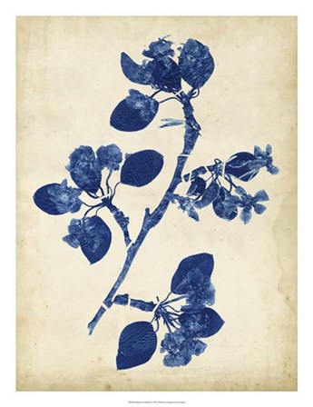 Indigo Leaf Study IV by Vision Studio art print