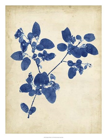 Indigo Leaf Study V by Vision Studio art print