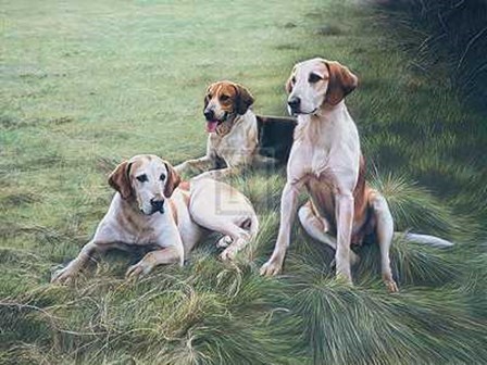 Gary Stinton - Duke of Beaufort&#39;s Hounds [Ed 9] 29x23 Print by Gary Stinton art print