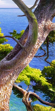 Lavandou III by Adriano Galasso art print