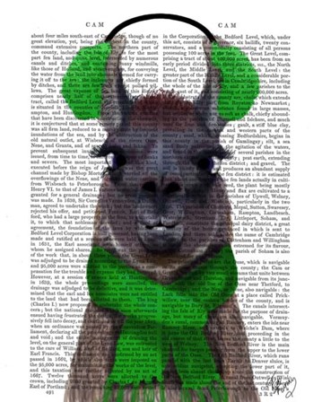 Chilly Llama, Green by Fab Funky art print