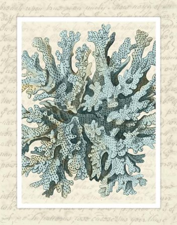 Blue Corals On VIntage Script c by Fab Funky art print