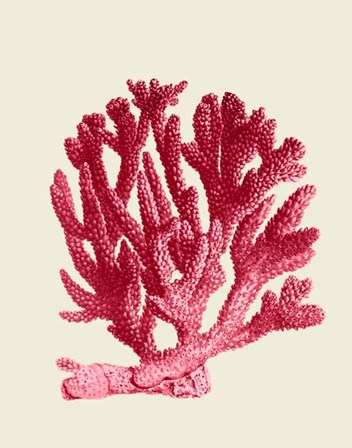 Red Corals 1 a by Fab Funky art print