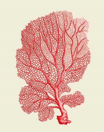 Red Corals 1 b by Fab Funky art print