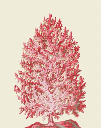 Red Corals 1 d by Fab Funky art print