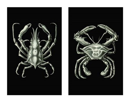 Crabs On Black in 2 panels by Fab Funky art print