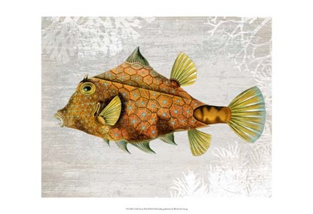 Gold Turret Fish by Fab Funky art print