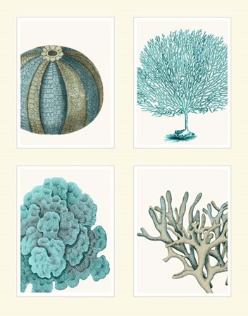 Blue Corals and Sea Urchins in 4 Panels by Fab Funky art print