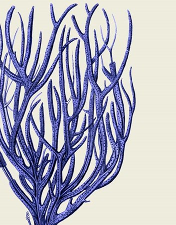 Blue Corals 2 c by Fab Funky art print