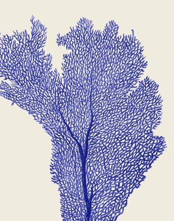 Blue Corals 2 e by Fab Funky art print