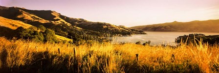 Akaroa Harbour, Banks Peninsula, New Zealand by Panoramic Images art print