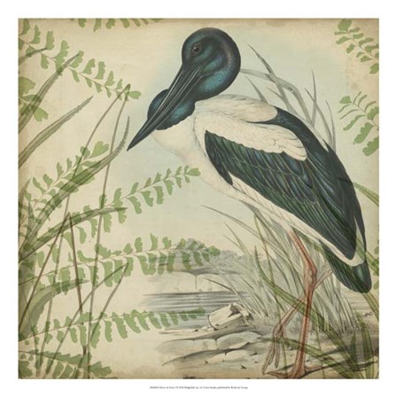 Heron &amp; Ferns I by Vision Studio art print