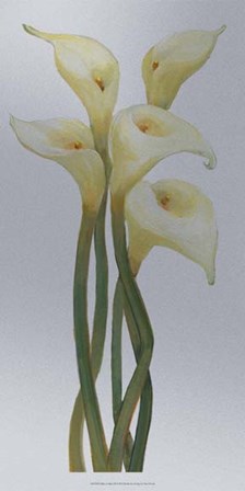 Callas on Silver II by Timothy O&#39;Toole art print