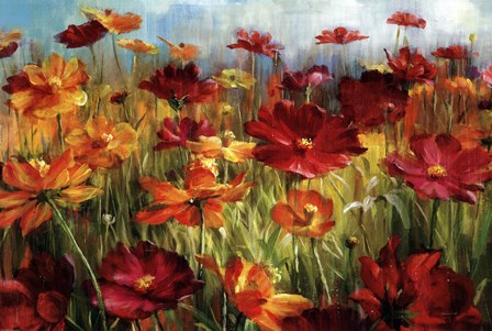 Cosmos In The Field by Danhui Nai art print