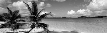 Salomon Beach US Virgin Islands by Panoramic Images art print