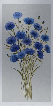 Cornflower Patch I by Timothy O&#39;Toole art print