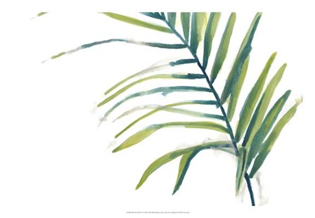 Palm Wonderful V by June Erica Vess art print