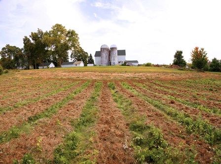 Barn and Silo, Colts Neck Township, New Jersey by Panoramic Images art print