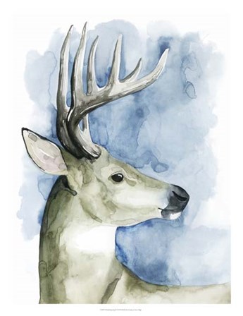 Wandering Stag II by Grace Popp art print