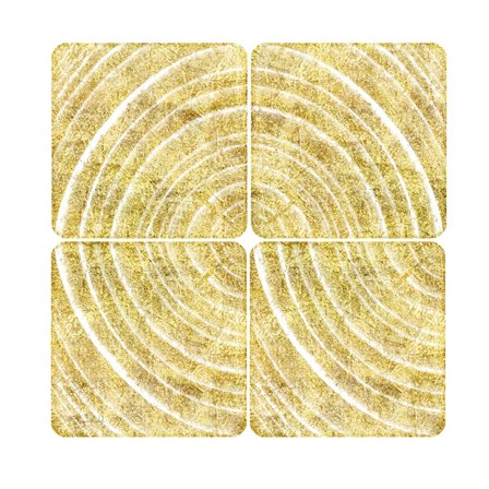 Tree Ring Triptych I by Ramona Murdock art print