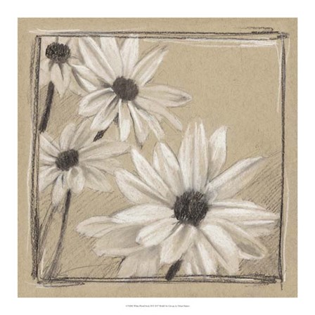 White Floral Study II by Ethan Harper art print